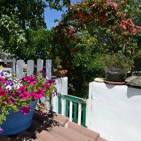 Casa de Férias Bilocale Al Mare Olbia
